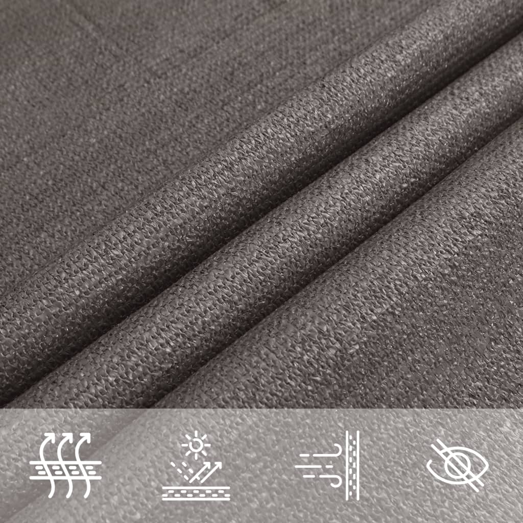 Para-sol estilo vela 160 g/m² 2,5x4,5 m PEAD antracite