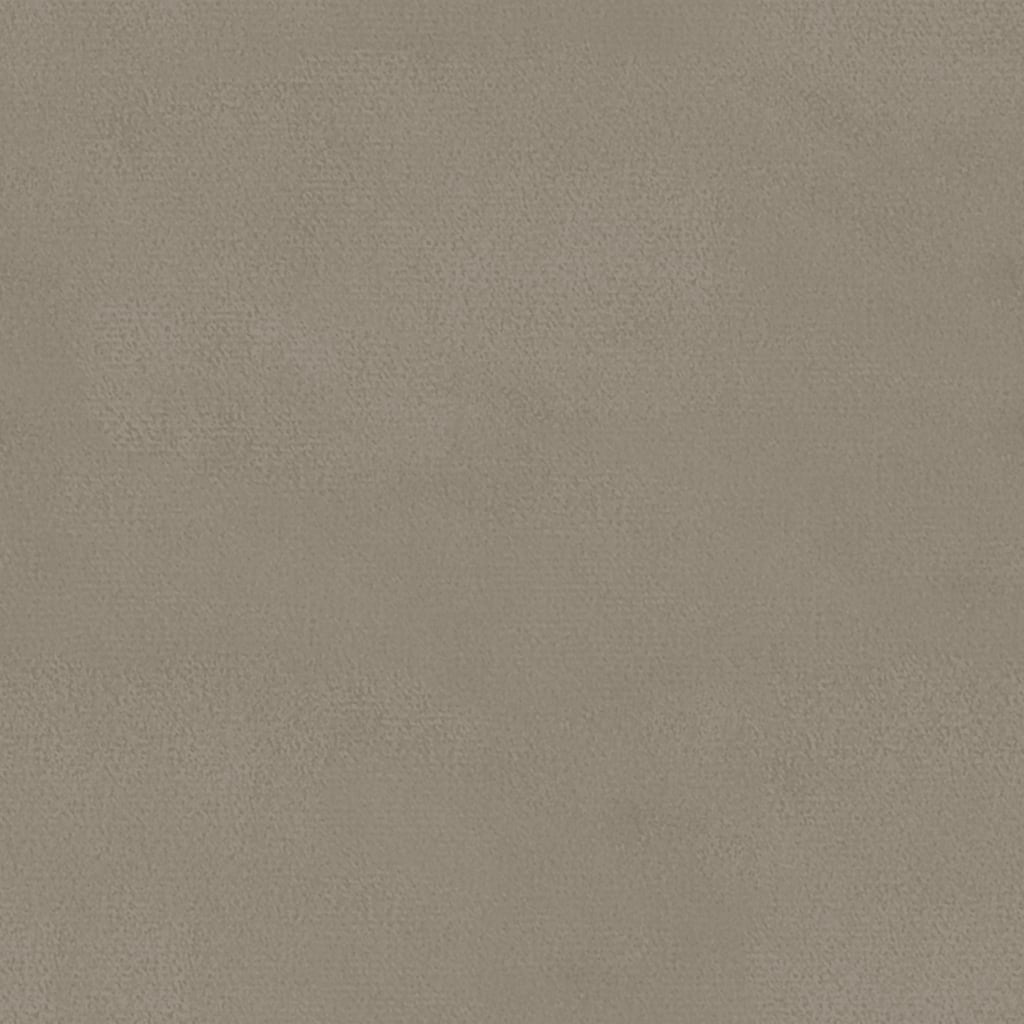 Cadeiras de jantar 2 pcs veludo cinzento-claro