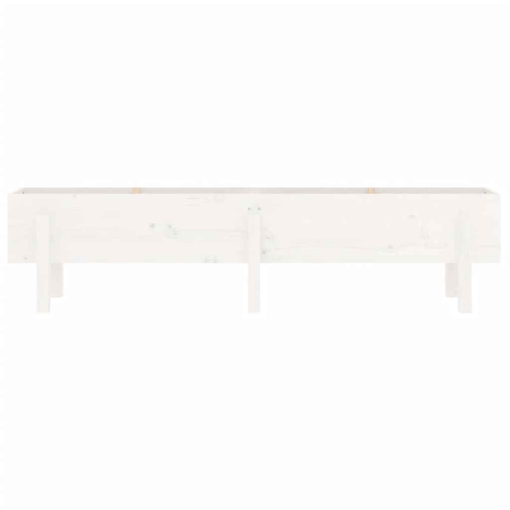 Canteiro elevado de jardim 160x30x38 cm pinho maciço branco