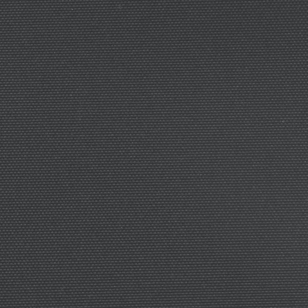 Toldo lateral retrátil 100x600 cm preto