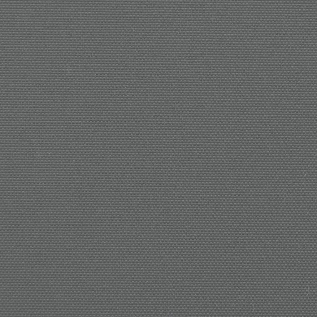 Toldo lateral retrátil 180x1000 cm antracite