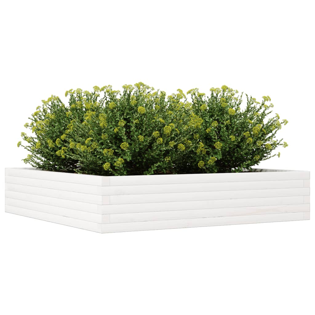Vaso/floreira de jardim 110x110x23 cm pinho maciço branco