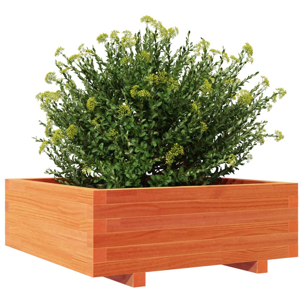 Vaso/floreira de jardim 70x70x26,5 cm pinho maciço castanho-mel