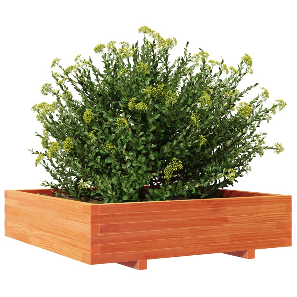 Vaso/floreira jardim 100x100x26,5 cm pinho maciço castanho mel