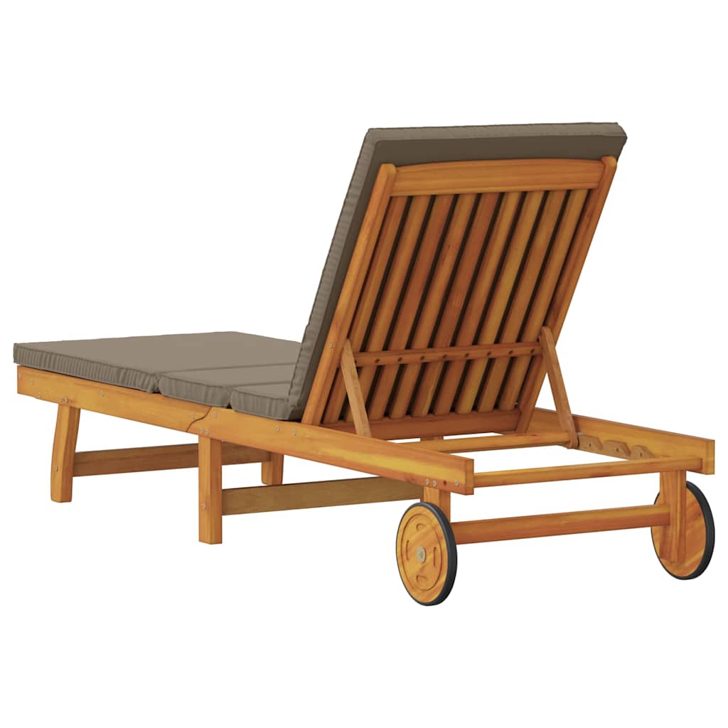 Espreguiçadeira com almofada 1-pessoa Castanho 63 x 199 x 85cm