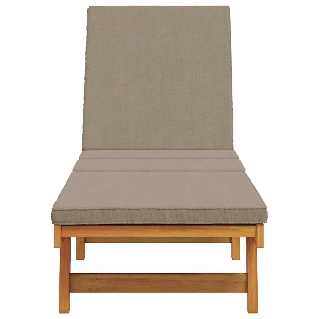 Espreguiçadeira com almofada 1-pessoa Castanho 63 x 199 x 85cm