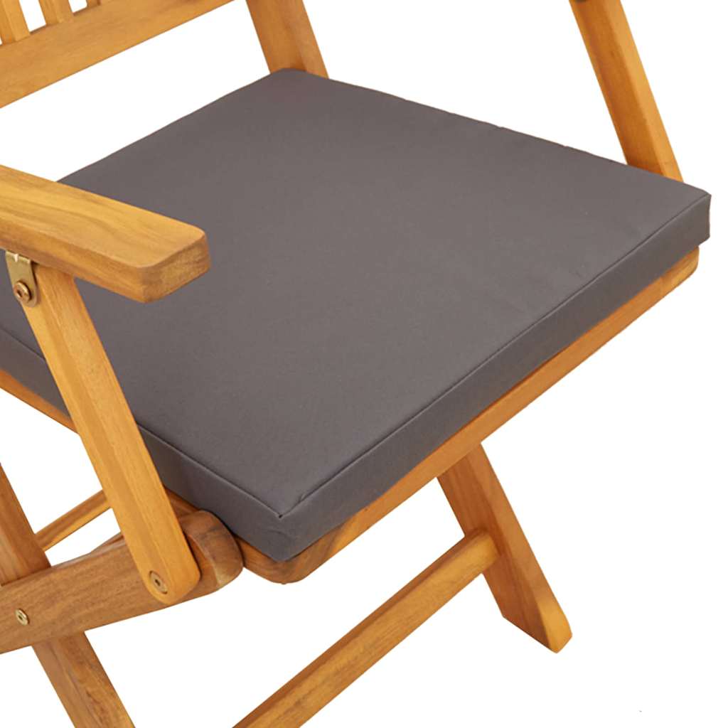Cadeira Dobrável com almofada 2 pcs Cinzeto 49 x 57,5 x 92cm