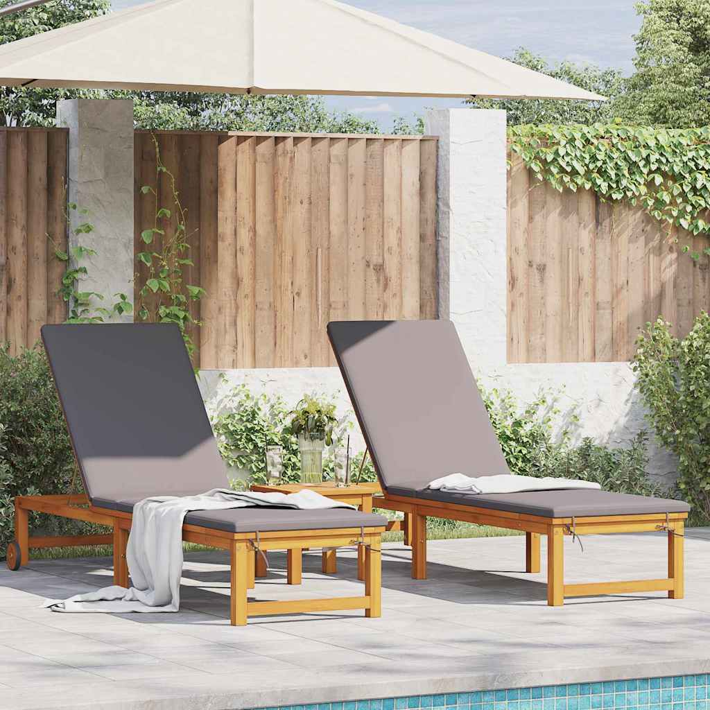 Espreguiçadeira com almofada 2 pcs Castanho 53 x 202 x 89cm
