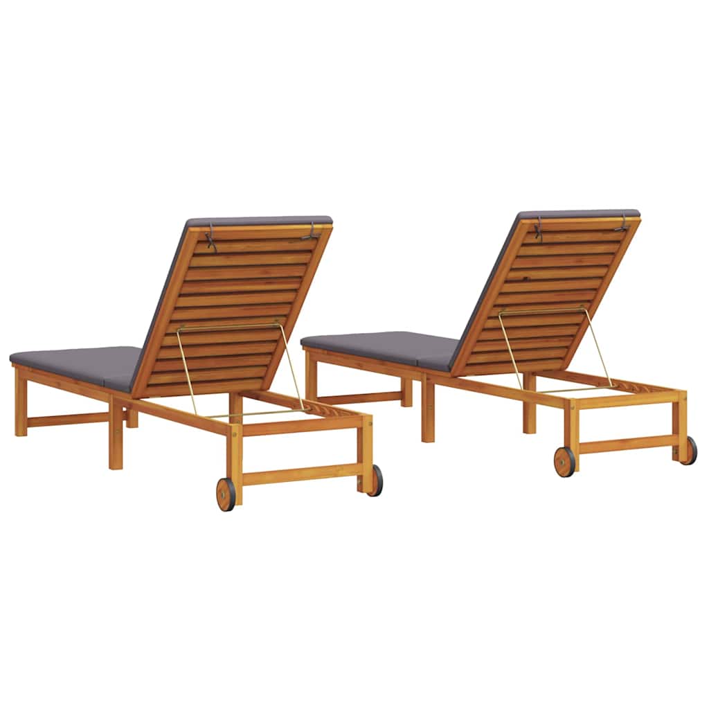 Espreguiçadeira com almofada 2 pcs Castanho 53 x 202 x 89cm