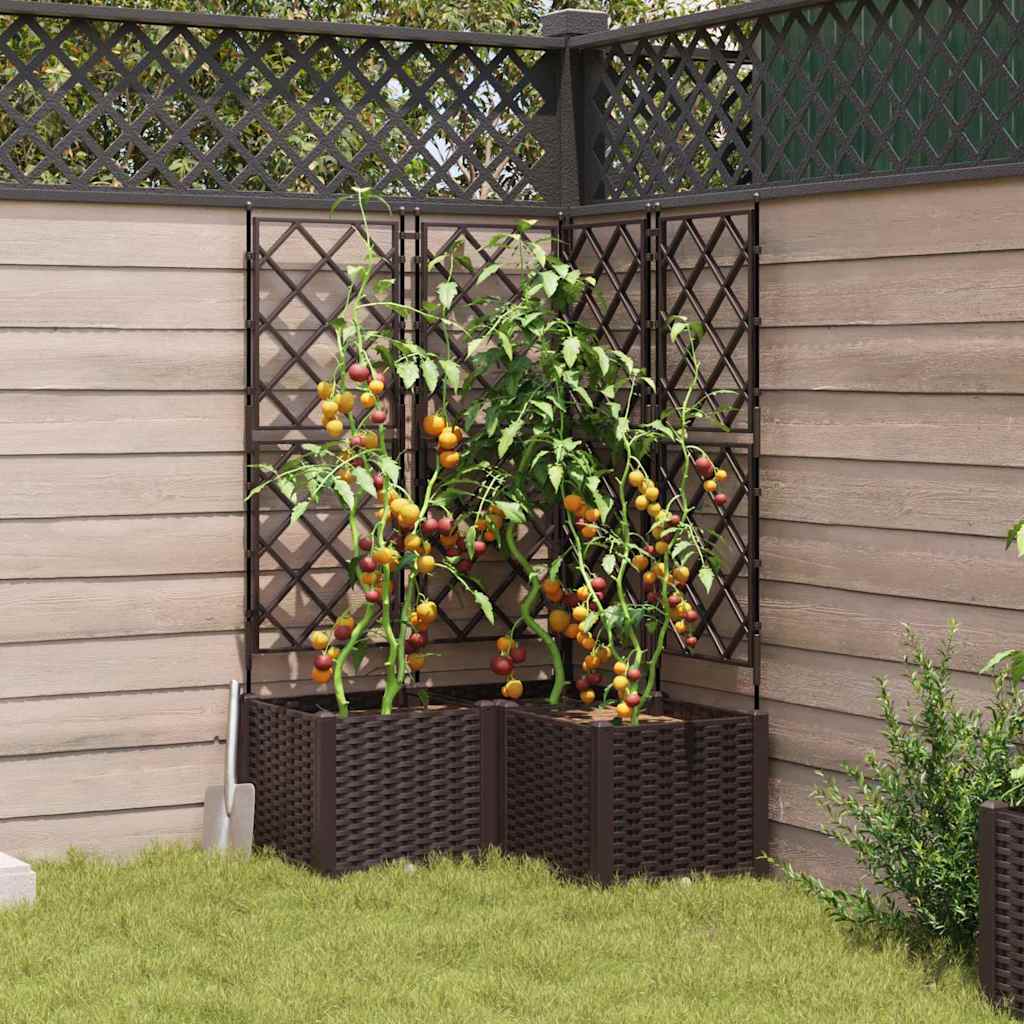Jardineira com Treliça 3 pcs Castanho 80 x 80 x 143 cm PP