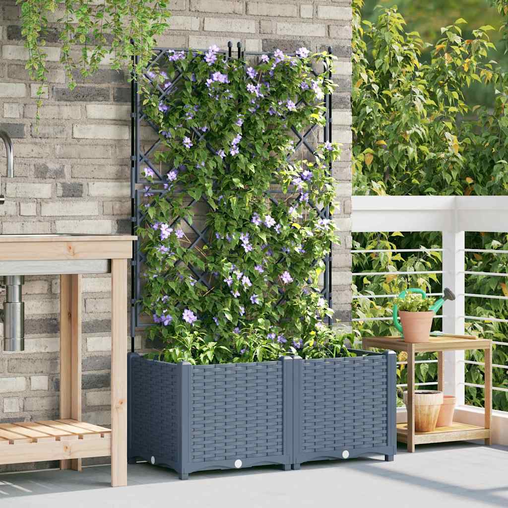 Jardineira com Treliça 2 pcs Cinzento-claro 80 x 40 x 143 cm PP