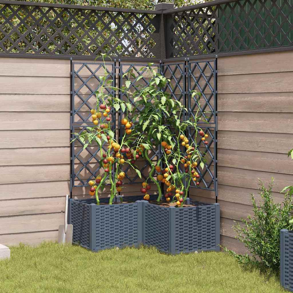 Jardineira com Treliça 3 pcs Cinzento-claro 80 x 80 x 143 cm PP