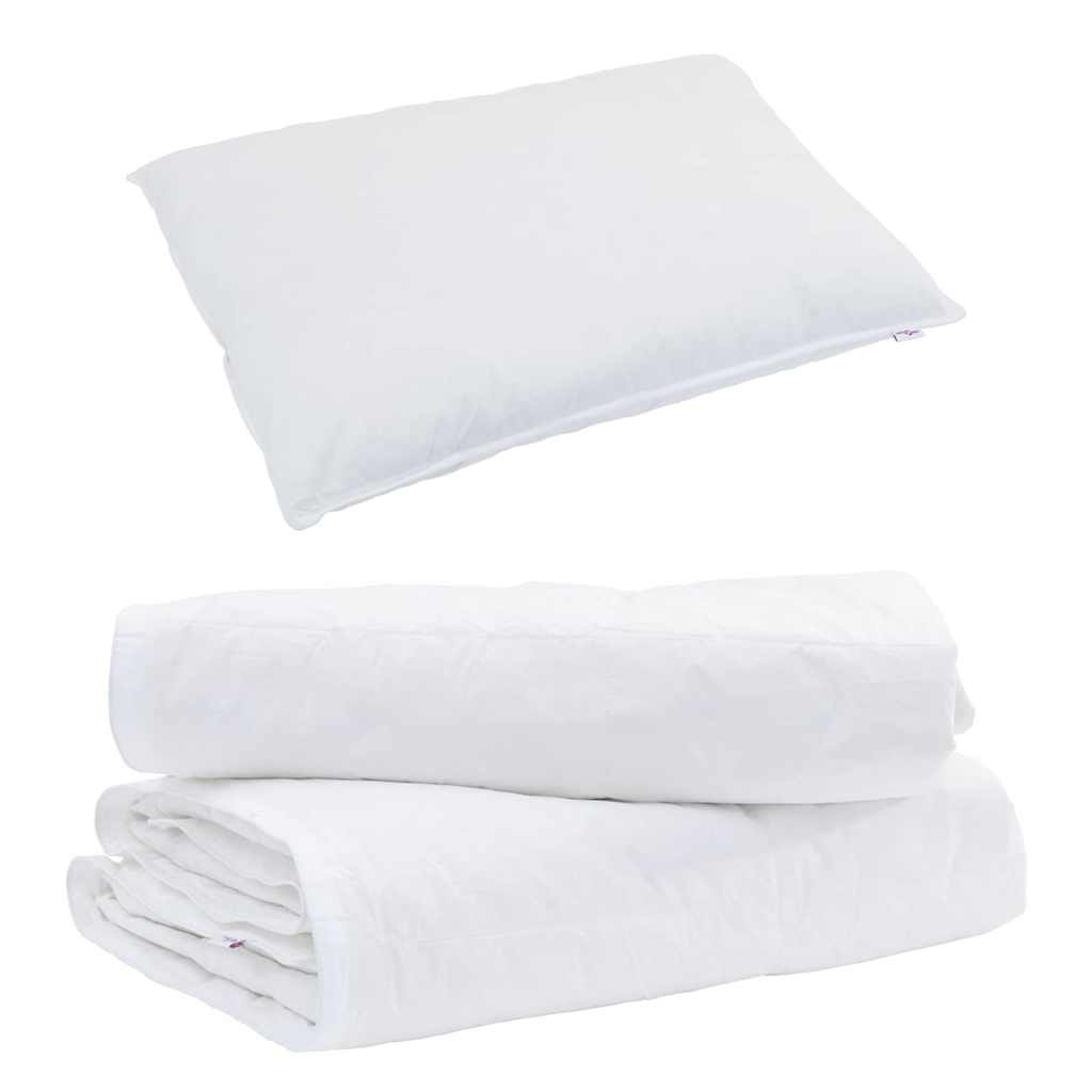 Duvet com Travesseiro 2 pcs Branco Pena de ganso