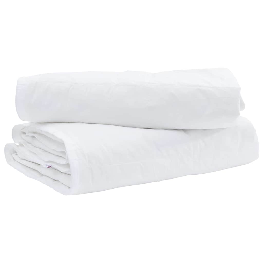 Duvet com Travesseiro 2 pcs Branco Pena de ganso