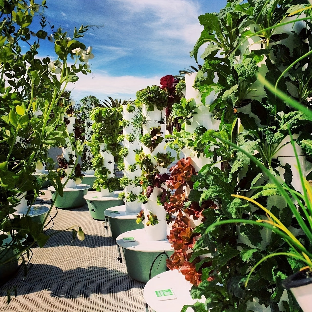 Multilevel vertical hydroponic tower cultivation machine