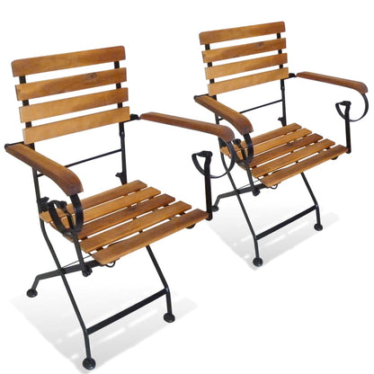 Cadeiras de jardim dobráveis 2 pcs aço e madeira acácia maciça