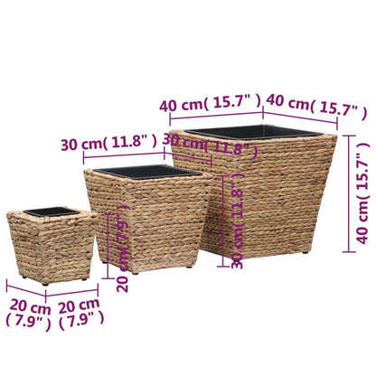 Vasos/floreiras 3 pcs jacinto de água