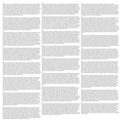 Toldo lateral retrátil para pátio 140x500 cm creme