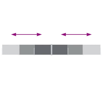 Toldo lateral retrátil 120x1000 cm antracite