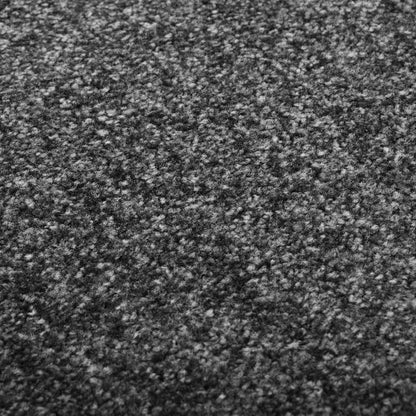 Tapete de porta lavável 120x180 cm antracite