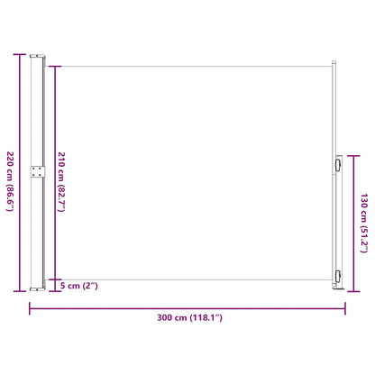 Toldo lateral retrátil para pátio 220x300 cm preto