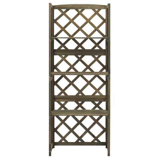 Treliça com prateleiras 55x30x140 cm abeto maciço cinzento