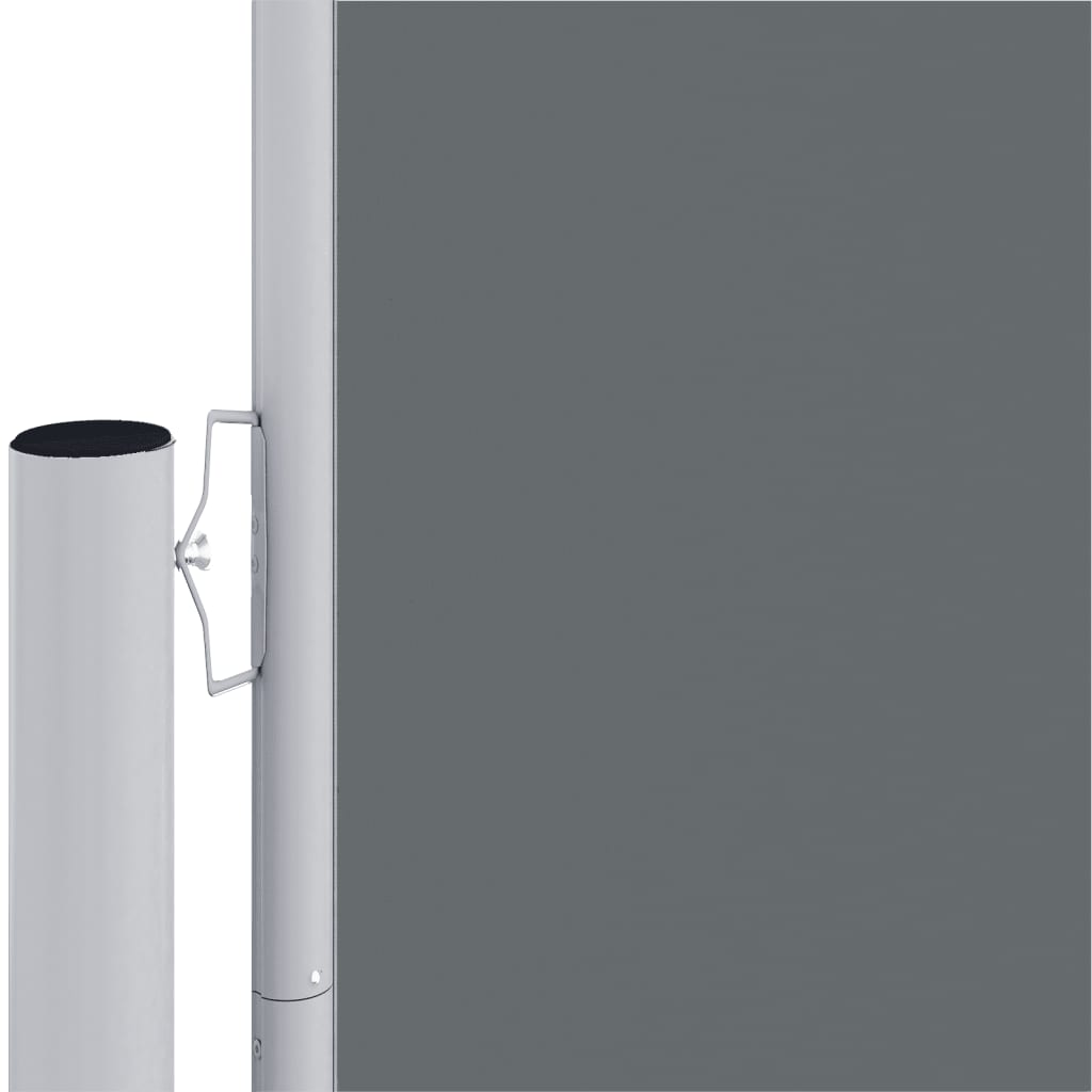 Toldo lateral retrátil 220x1000 cm antracite