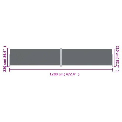Toldo lateral retrátil 220x1200 cm antracite