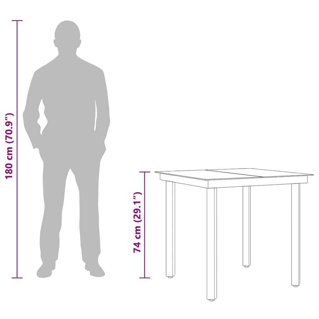 Mesa de jantar para jardim 80x80x74 cm aço e vidro preto