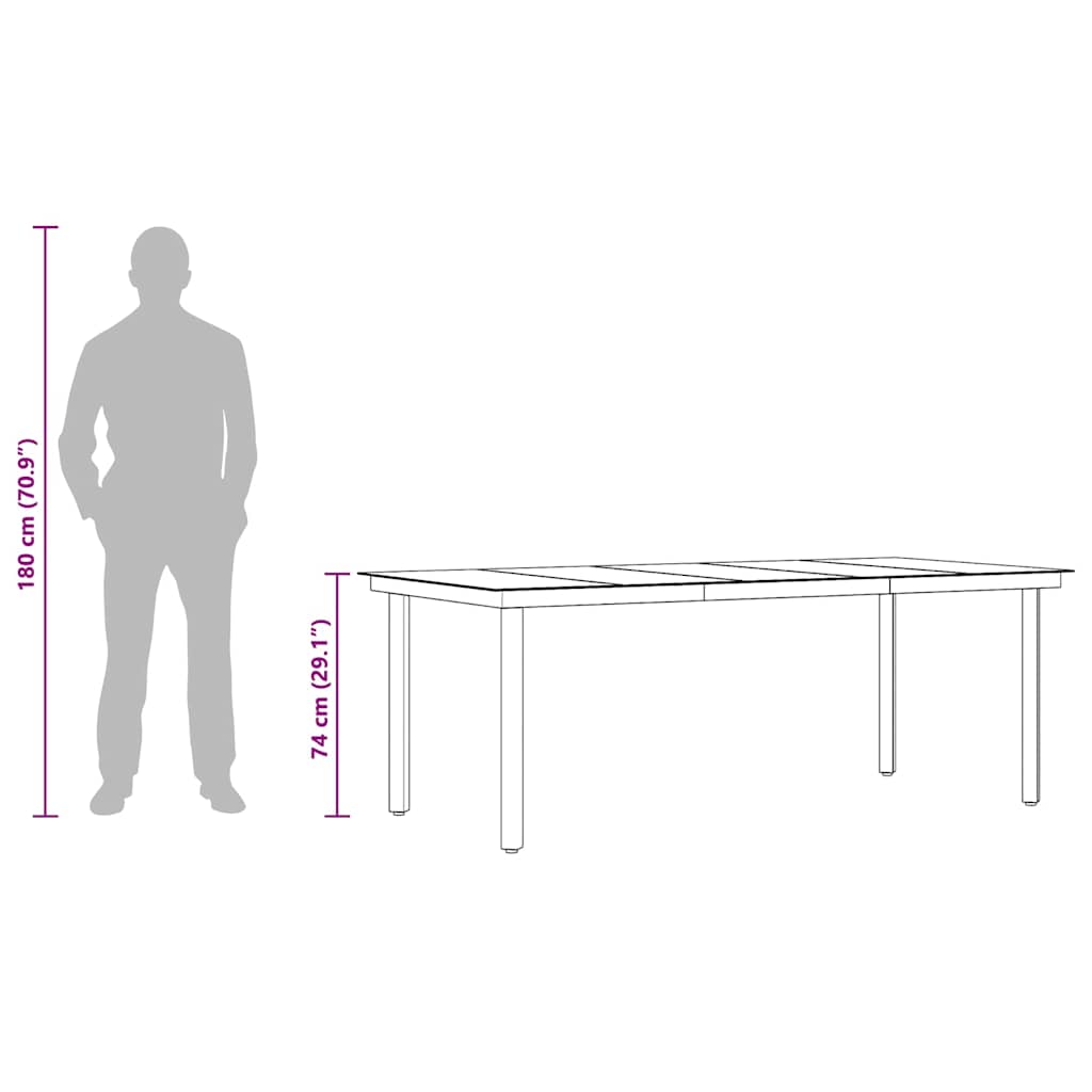 Mesa de jantar para jardim 200x100x74 cm aço e vidro preto