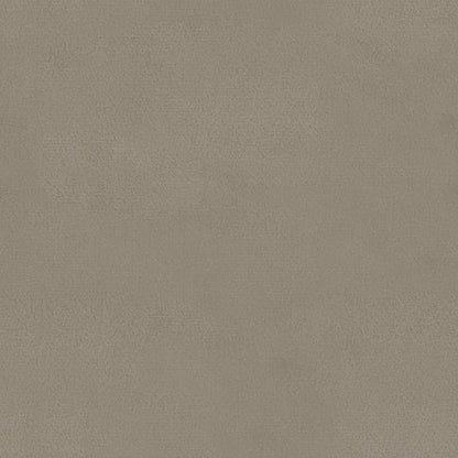 Cadeiras de jantar 2 pcs veludo cinzento-claro