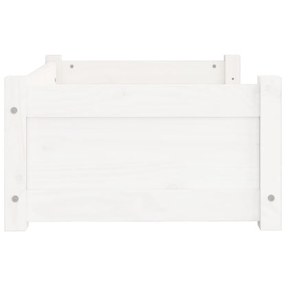 Cama para cães branca 65,5x50,5x28 cm madeira de pinho maciça