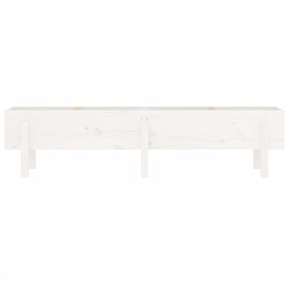 Canteiro elevado de jardim 160x30x38 cm pinho maciço branco