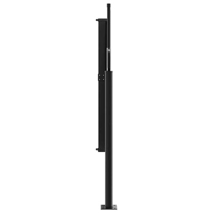 Toldo lateral retrátil antracite 100x300 cm