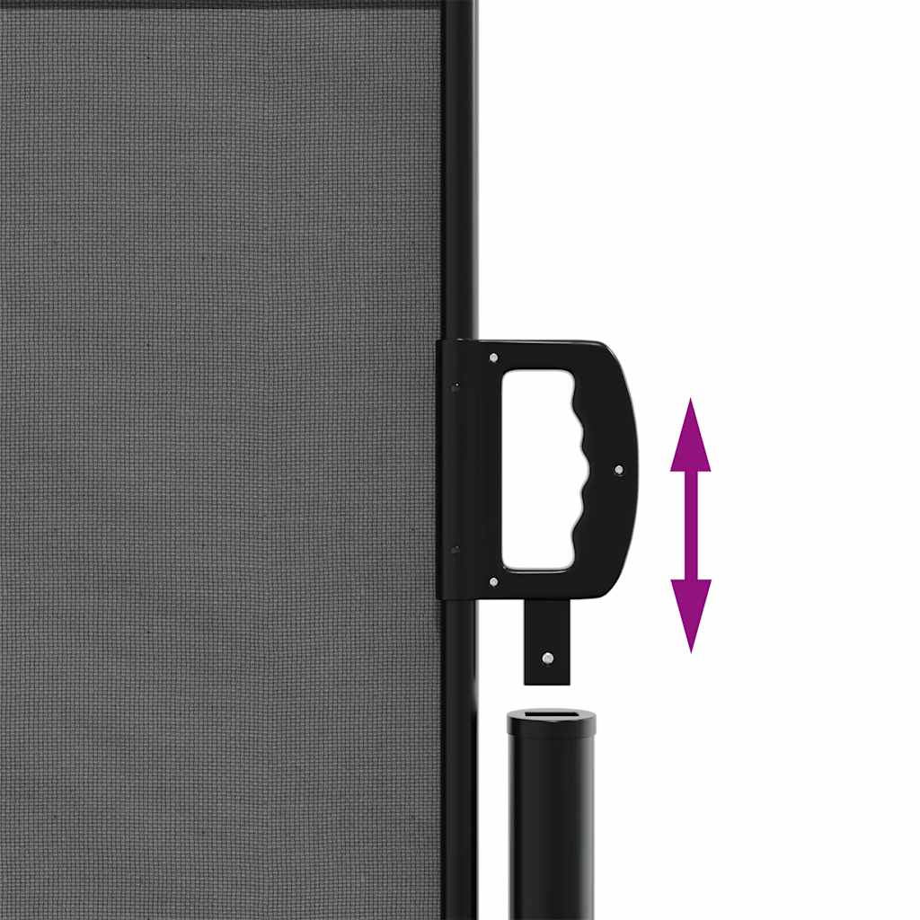 Toldo lateral retrátil antracite 100x300 cm