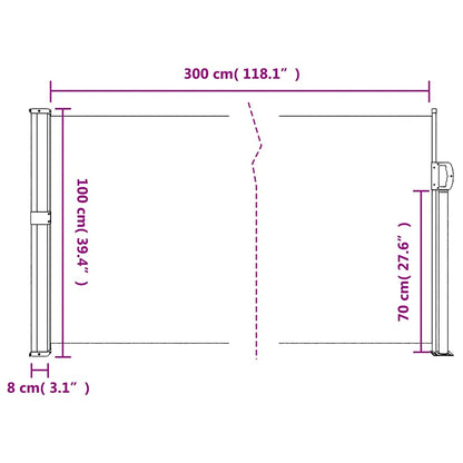 Toldo lateral retrátil antracite 100x300 cm
