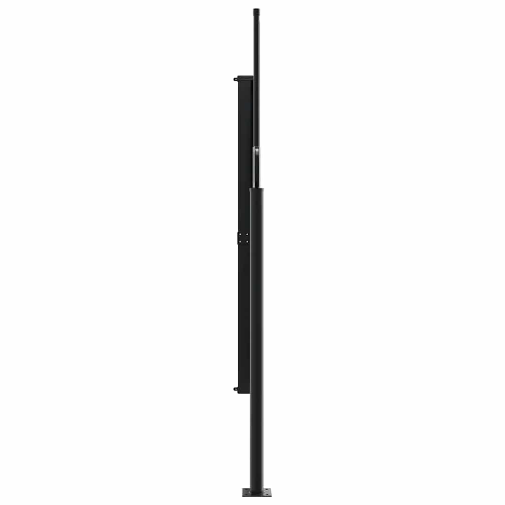 Toldo lateral retrátil antracite 180x300 cm