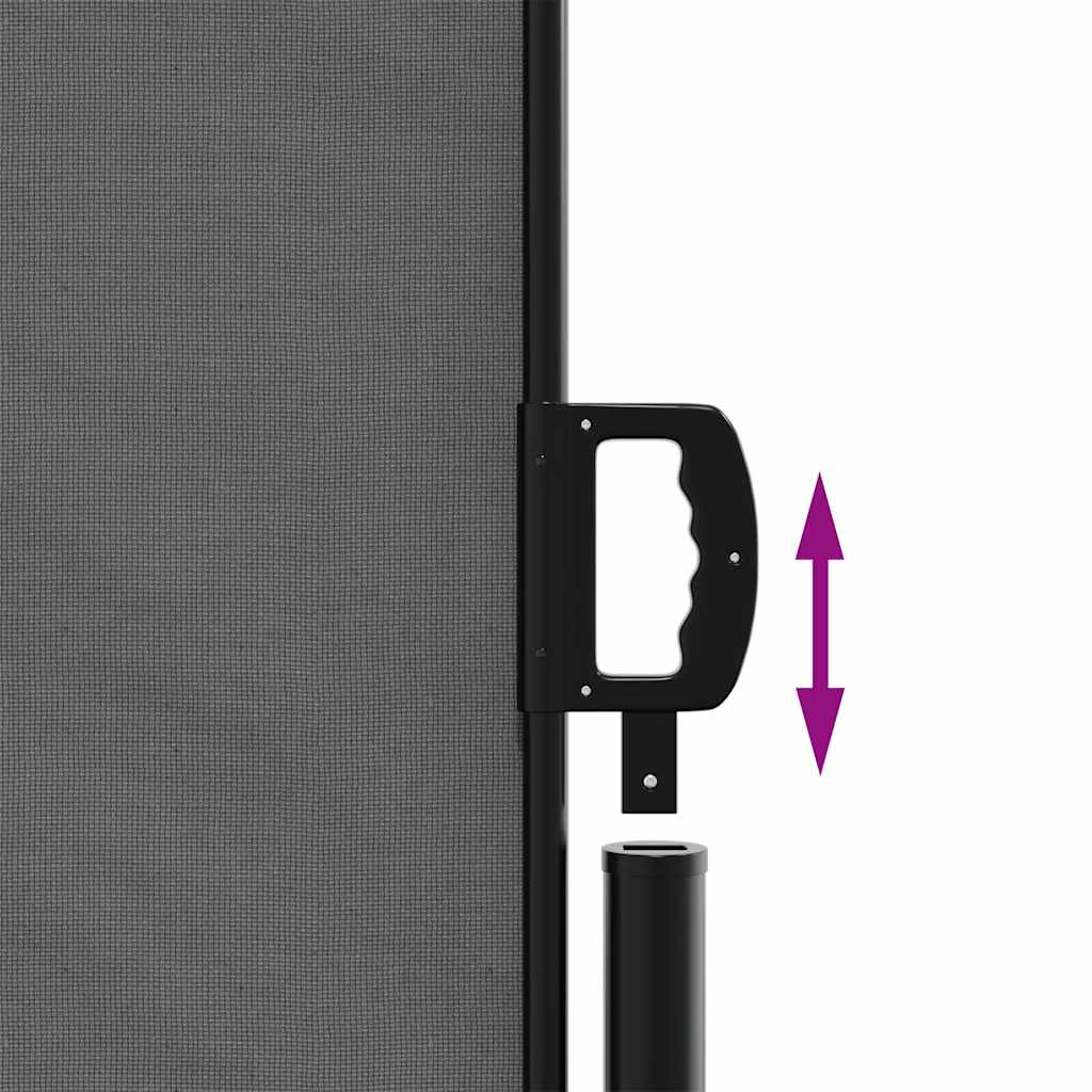 Toldo lateral retrátil antracite 180x300 cm