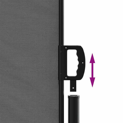 Toldo lateral retrátil antracite 180x300 cm