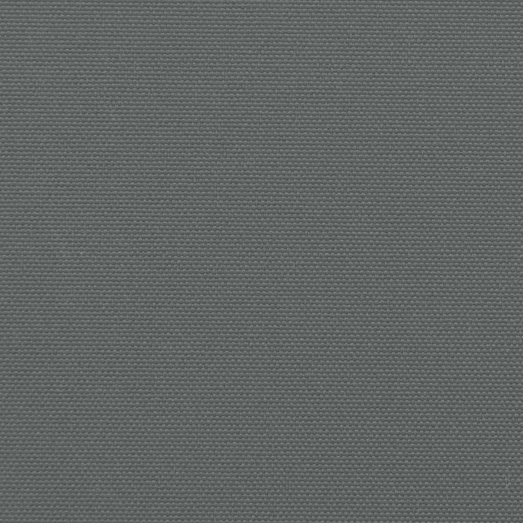 Toldo lateral retrátil antracite 220x300 cm