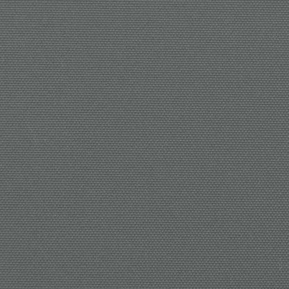 Toldo lateral retrátil antracite 220x300 cm