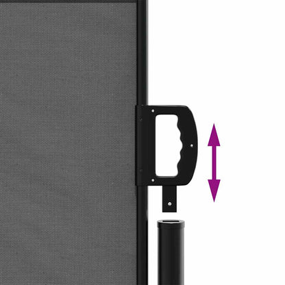 Toldo lateral retrátil antracite 120x500 cm