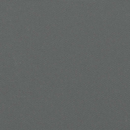 Toldo lateral retrátil 200x500 cm antracite