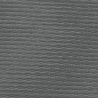 Toldo lateral retrátil 120x1200 cm antracite