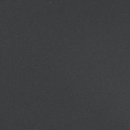 Toldo lateral retrátil 160x1200 cm preto