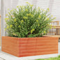 Vaso/floreira de jardim 60x60x23 cm pinho maciço castanho mel