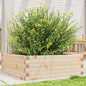 Vaso/floreira de jardim 70x70x23 cm madeira de pinho maciça