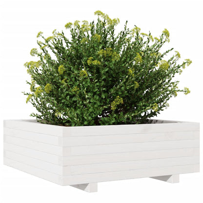 Vaso/floreira de jardim 70x70x26,5 cm pinho maciço branco