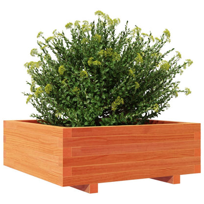 Vaso/floreira de jardim 70x70x26,5 cm pinho maciço castanho-mel