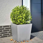 Vaso/floreira de jardim 50x50x50 cm aço galvanizado